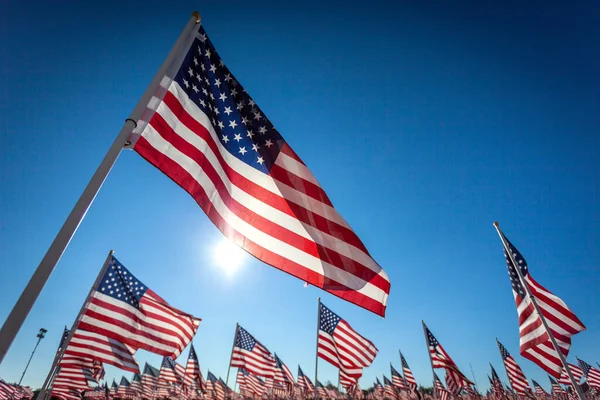 Large Group of American Flags with sun behind and blue sky. High quality photo Memorial Day or Labor Day or holiday display