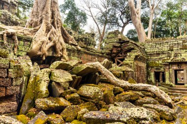 Ta Prohm Tapınağı, Tomb Raider 'ın film mekanı..