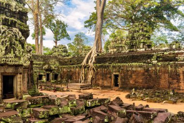 Meşhur ve ikonik Ta Prohm temposu, Siem Reap, Kamboçya yakınlarındaki Tomb Rider filminden tanınan popüler bir seyahat mekanı.