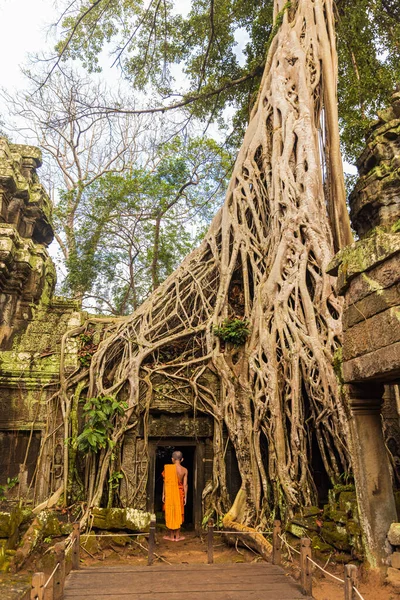 柬埔寨暹粒附近一个受欢迎的旅游胜地Ta Prohm寺的年轻佛教僧人 — 图库照片