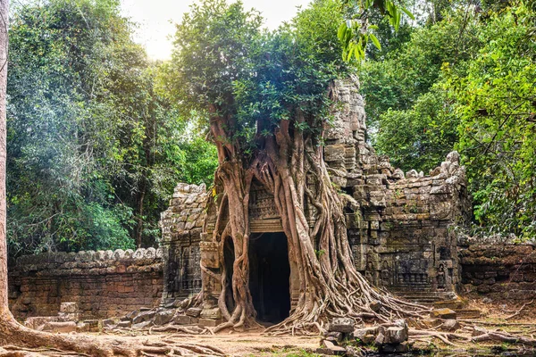 Ta Som Tapınağı Panoraması, Angkor Wat, Siem Reap, Kamboçya