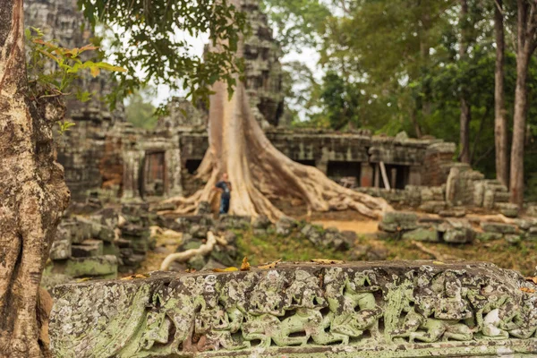 Ruinas Del Templo Prohm Angkor Camboya — Foto de Stock