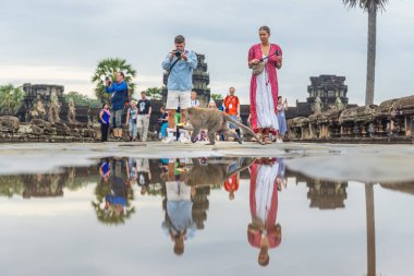 Arsız maymun, Angkor Wat tapınağındaki bir turistten çaldığı muzu yiyor..