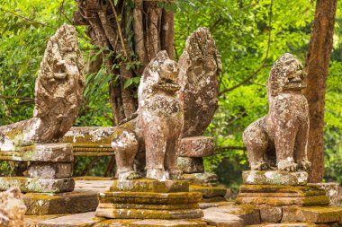 Angkor Wat, Kamboçya 'daki Ta Prohm tapınağında koruyucu aslanlar