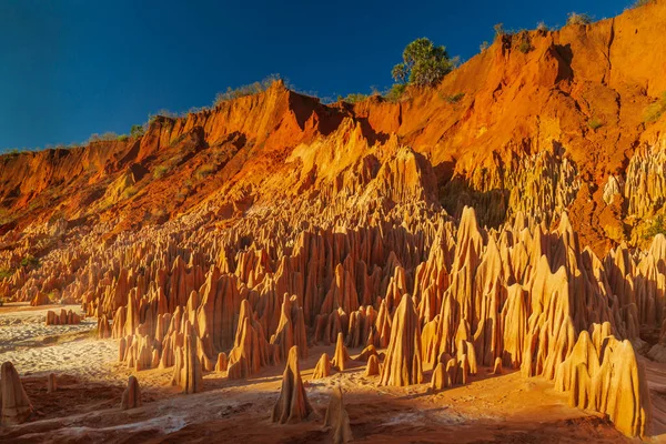 Bu eşsiz renkli oluşum Diego Suarez bölgesine özgüdür ve sadece 4x4 veya eski Renault R4 tarafından erişilebilir.