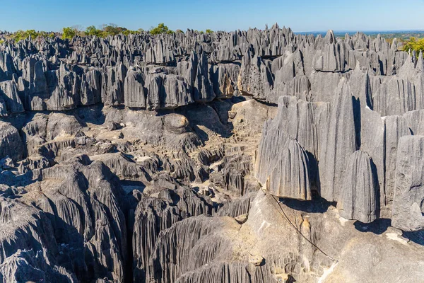 stock image Tsingy de Bemaraha is a spectacular stone forest with pristine nature. It is wonderful labyrinth of limestone needles.