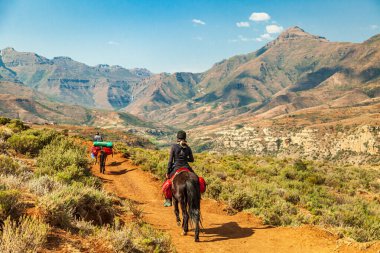 Malalea yakınlarındaki Lesotho arazisinde at izi.