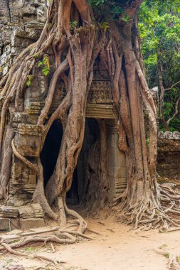Siem Reap, Kamboçya'da bir yaz günü karmaşık Angkor Wat Tapınağı Ta Som Panoraması