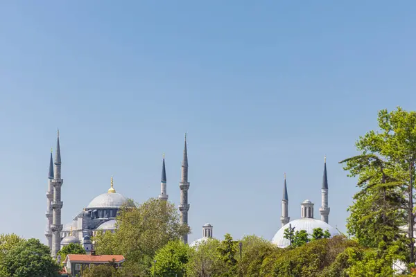 Modrá Mešita Nebo Sultanahmet Camii Istanbulu — Stock fotografie