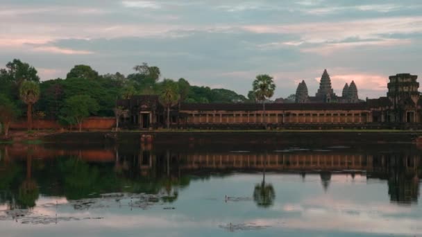 Famoso Templo Angkor Wat Cerca Siem Reap Reflejándose Piscina Atardecer — Vídeo de stock