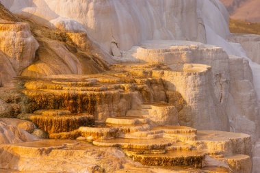Kanarya baharı terası sıcak suyla oluşur.