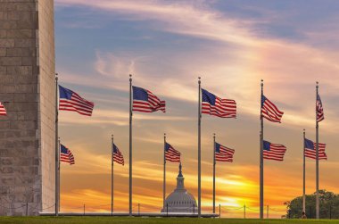 Washington Anıtı 'nın etrafında ABD bayrakları