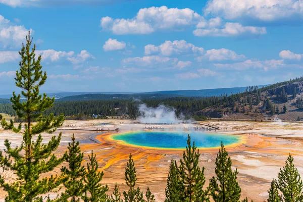 Famous trail of Grand Prismatic Springs in Yellowstone National Park. Beautiful hot springs with vivid color blue green orange in Wyoming.