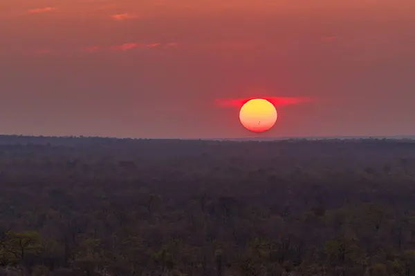 As the sun sets over Chobe National Park, the sky turns blood red and some sunspots become visible on the sun.