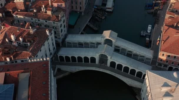 Βενετία Θέα Του Μεγάλου Καναλιού Και Περίφημο Rialto Brdige — Αρχείο Βίντεο