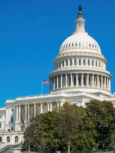 United States Capitol Building American Flag Royalty Free Stock Photos