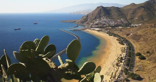 Las Teresitas Plajı Sarı Kumsal Palmiye Ağaçları Sahil Yolu Dolly — Stok video