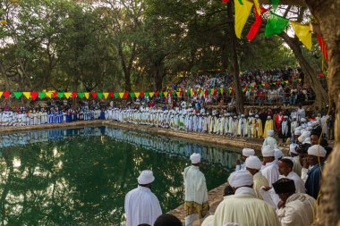 İnsanlar Etiyopya 'nın Gondar kentindeki Fasilides Hamamında Timkat festivalinde bir araya geldiler.