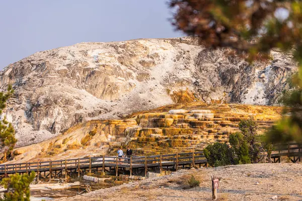 Stock image Visitors exploring the beautiful terraced formations of Mammoth Hot Springs in Yellowstone National Park. The terraces, formed by mineral deposits, display a range of vibrant yellow and orange hues