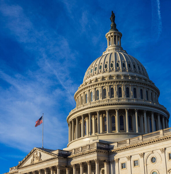 Здание Капитолия, Сенат и Палата представителей правительства США