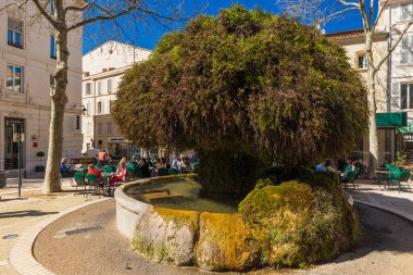 Meşhur yeşil kaplı Fontaine Moussue Salon de Provence 'de.