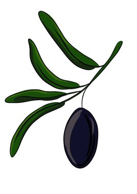 Bir dalda zeytin karikatürü çizimi