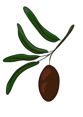 Bir dalda zeytin karikatürü çizimi
