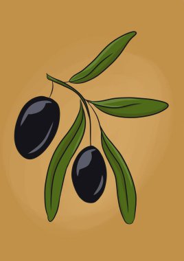 Bir dalda zeytin karikatürü çizimi
