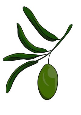 Bir dalda zeytin karikatürü çizimi