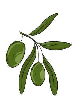 Bir dalda zeytin karikatürü çizimi