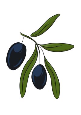Bir dalda zeytin karikatürü çizimi