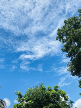 yeşil ağaçlar ve bulutlu mavi bir gökyüzü