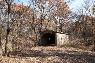 Tarihsel Amerikan ahşap köprüyü kapladı sonbahar ormanlarında köprünün çatısı karlar altında çökmesini önlemek için ölü yapraklarla kaplı bir köy yolu ile.