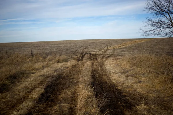 泥泞的小路穿过干燥的褐色草场 消失在远方 平坦的地面上长满了无叶的树木 — 图库照片