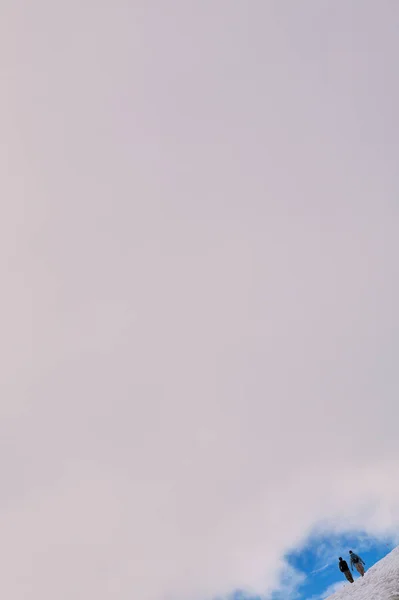 Наклонный Вид Двух Человек Прогуливающихся Заснеженных Горах Пасмурный День Хардинг — стоковое фото