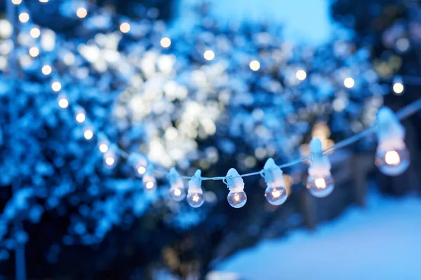 Fili Luci Festa Infilati Giardino Inverno Incandescente Crepuscolo Con Neve — Foto Stock