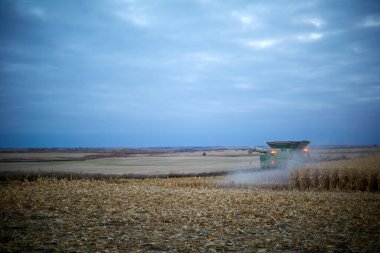 Tozlu, kuru buğday hasadı sıraları ve alacakaranlık ışığında bir çiftlikte hasatçıyı birleştirmek.