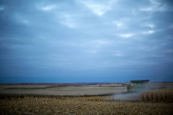 Farming machinery harvesting cornfield at dusk under dark skies