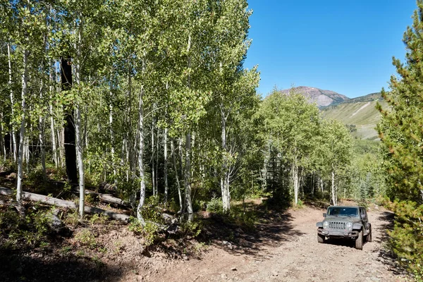 Vehículo 4Wd Conduciendo Través Bosques Una Pista Tierra Terreno Alpino —  Fotos de Stock