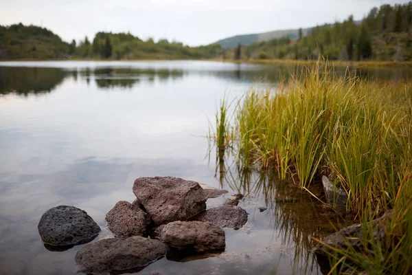 Спокойная Сцена Озера Тростником Скалами Переднем Плане Отражает Леса Спокойной — стоковое фото