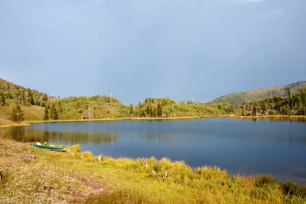 Спокойное Горное Озеро Отражениями Воде Окружающей Пышной Зеленой Растительности Светящемся — стоковое фото