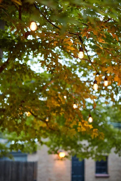 stock image Decorative party lights glowing in a leafy green tree hanging from the branches in a yard outside a building at dusk