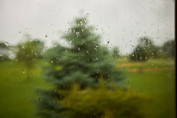 透过洒满雨滴的玻璃窗 绿树和乡村的朦胧景象 — 图库照片