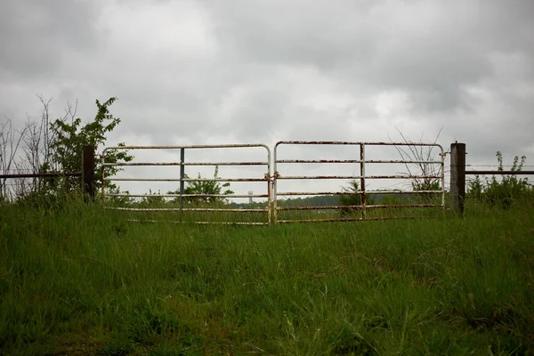 多云的灰色雨天下的乡村金属农场大门 绿草在天气状况下的前景 — 图库照片