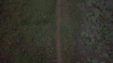 Kuzey Dakota 'daki Pembina Nehri' nin kıyısındaki eğlence yolu üzerinde hava aracı görüntüleri.