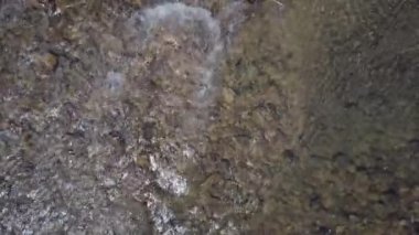 Kuzey Dakota 'daki Pembina Nehri' nin kıyısındaki eğlence yolu üzerinde hava aracı görüntüleri.