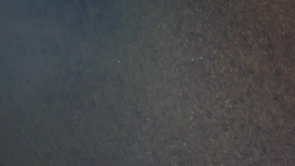 Кадри Повітряних Дронів Над Рекреаційним Шляхом Вниз Берегах Річки Пембіна — стокове відео