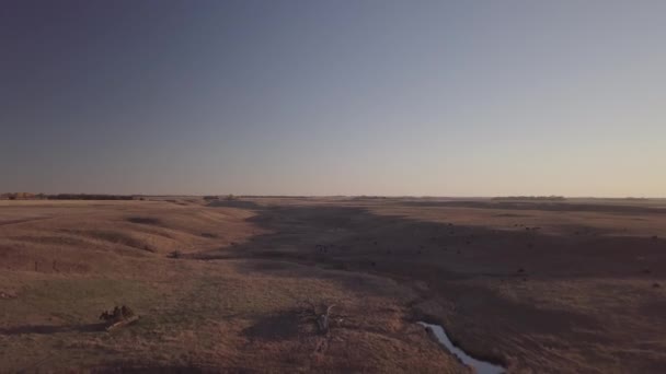 Filmato Aereo Del Drone Sul Percorso Ricreativo Lungo Rive Del — Video Stock