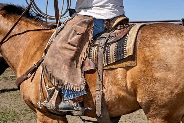 Cowboy Paard Met Chaps Tack — Stockfoto