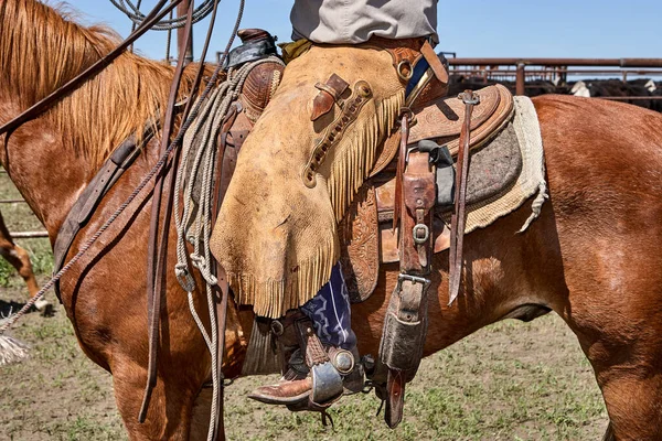 Cowboy Cavalo Com Chaps Tack — Fotografia de Stock